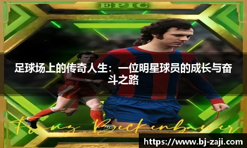 球王会体育平台登录入口