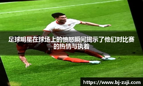 球王会体育平台登录入口