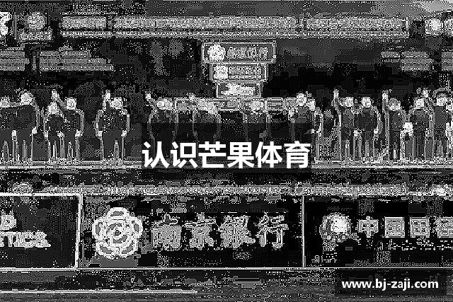 认识芒果体育